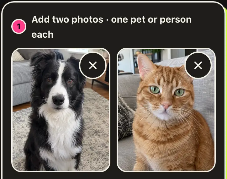 The generator with a dog photo and a cat photo added, one pet in each