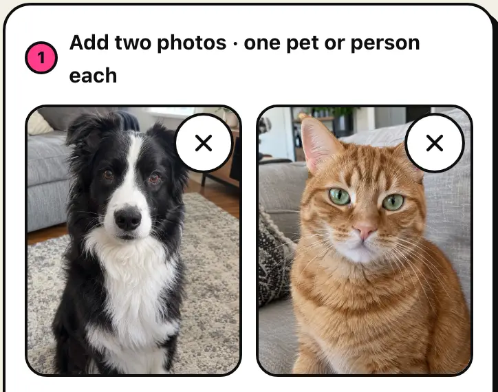 The generator with a dog photo and a cat photo added, one pet in each